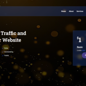 TrafficGain - Fully Functional Traffic Exchange System