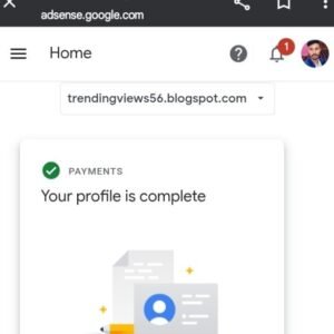 Google adsense profile green ✅ tick