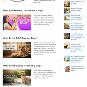 Seniorpawsguide.com is pet care brandable website, 90% audience is from USA