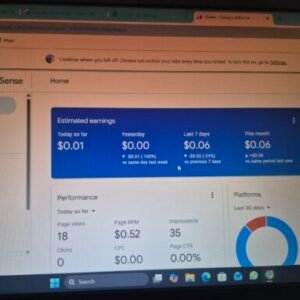 1 payment received adsense for sale - .org domain organic site